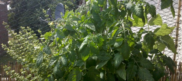 Exkurs: Unser Balkon