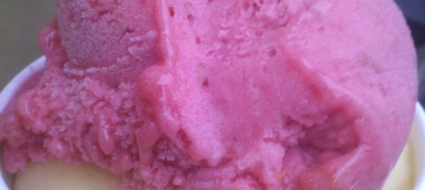 Himbeereis und Aprikoseneis (in Goldberg’hs Eis-Meisterei, Unna)